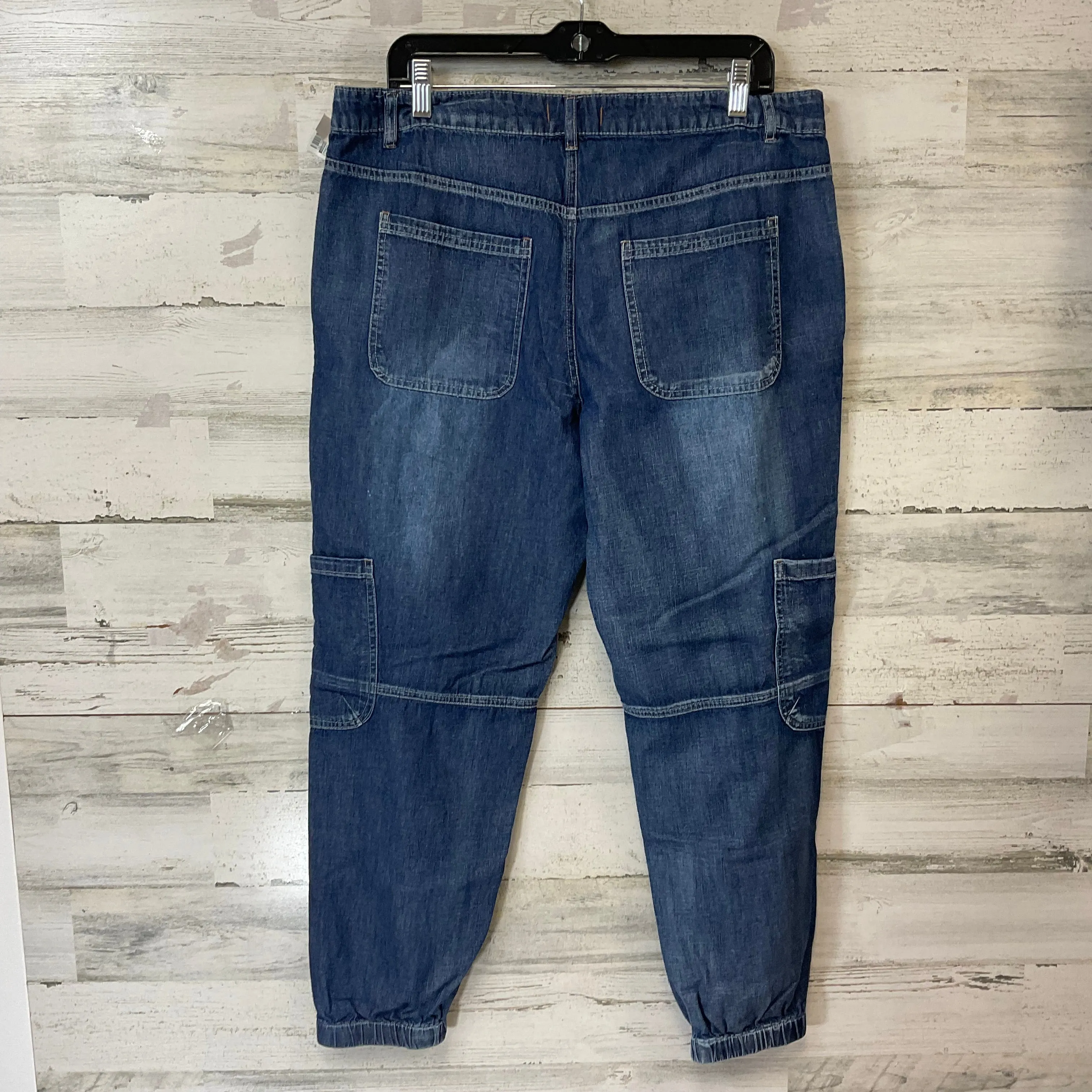 Pants Joggers By Sundance In Blue Denim, Size: 14